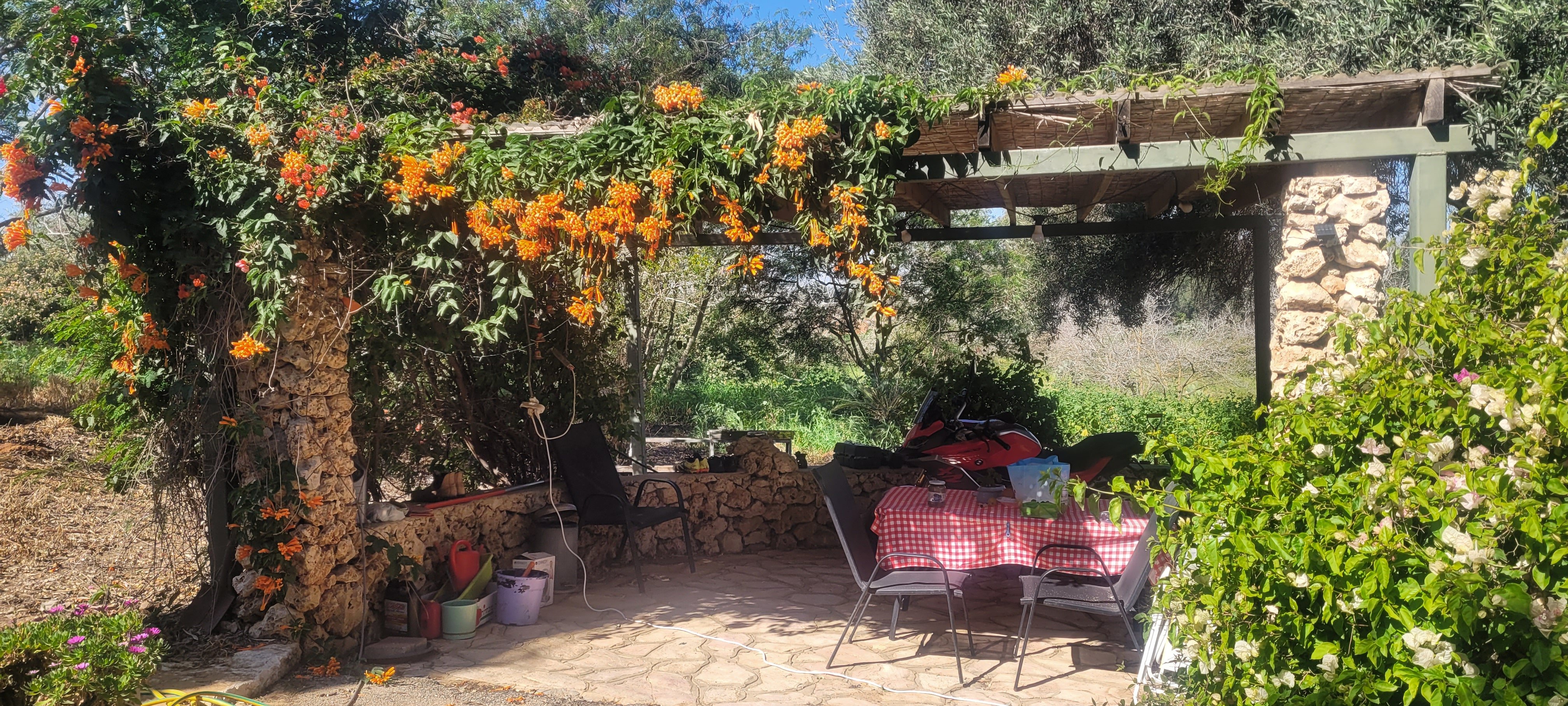 מהסמארטפון שלי